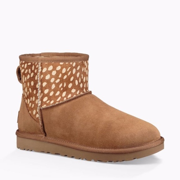 UGG Shoes - NIB !  UGG CLASSIC MINI IDYLLWILD BOOT